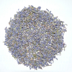 大量批发 薰衣草干花粒新疆纯天然薰衣草花茶  量大从优