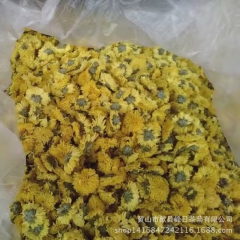 复青花草茶批发特级黄菊婺源金丝皇菊一朵一杯菊花茶 散卖