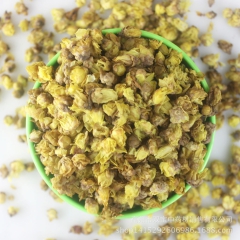 批发供应中药材 腊梅花花茶 养生花草茶批发源产地直销量大从优