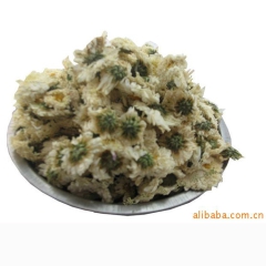 供应普洱茶 天然花茶 09年特级菊花茶 陈香普洱菊花茶