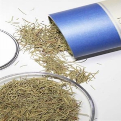 迷迭香花茶批发零售 精选天然迷迭香花茶 迷迭香香花茶批发直销