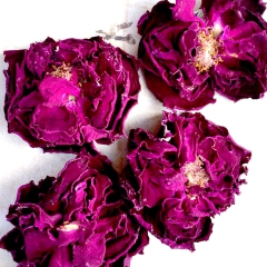 有机花茶 滇红玫瑰花茶 干花 有机玫瑰花朵 重瓣玫瑰 云南特...