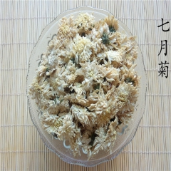 批发供应优质 特级七月菊 黄山白贡菊 菊花茶 花草茶 清肝明...