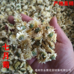 批发供应 白贡菊 七月菊 正宗黄山菊花茶 黄山七月菊 永青花...