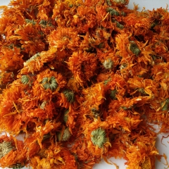 批发供应花茶 金盏菊 金盏花 各种花茶散装 一斤装