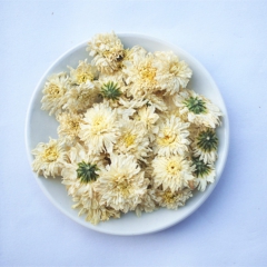 批发散装贡菊 黄山贡菊 菊花茶 徽菊 各种等级