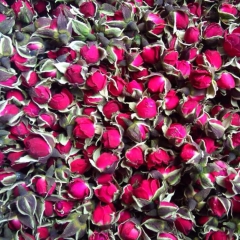 批发云南高山 野生花草茶 野生金边玫瑰花茶 特级干花 散装