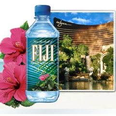 FIJI Water 斐济天然自流水 FIJI 矿泉水 33...