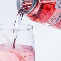 韩国进口 vtalk饮料 红柚味、柠檬味汽水碳酸饮料 350...