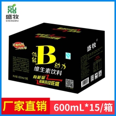 体能B动力功能饮料 强化型功能饮料饮品批发 能量功能饮料招商