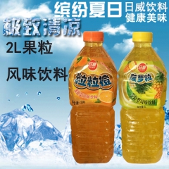 厂家直销 日威饮料2L果粒型风味饮料 诚招全国经销商 批发商