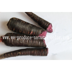 碳酸饮料、风味饮料、可乐等添加着色用，黑胡萝卜色素