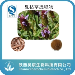 夏枯草提取物10:1 植物提取物  天然提取物 食品饮料添加...