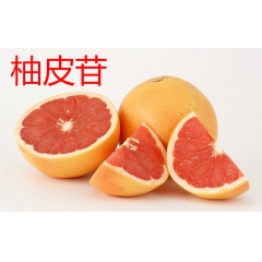 江苏QS生产柚皮苷 贴牌代加工原料植物提取物 液/固体饮料