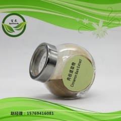 保健 食品饮料等  肉桂提取物 天然植物粉20:1