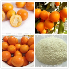 小金橘粉/小金橘果粉 100%速溶 食品饮料原料 纯植物萃取