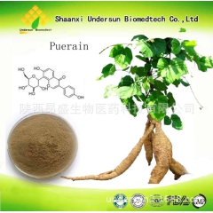 葛根提取物 葛根素 葛根黄酮 天然植物提取原料 固体饮料原料