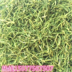 清热去火茶 清火下火降火菊花茶金银花薄荷花茶组合 清心明目凉...