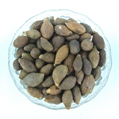 惠飞 特价 批发供应优质胖大海精选大颗粒 胖大海凉茶 厂家直...