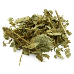 大叶金钱草 排石茶 中草药材批发 广东草药凉茶 中国批发