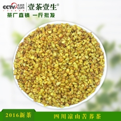 厂家批发四川凉山特产苦荞茶 500g散装凉茶 降气健胃苦荞麦