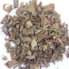 供应中草药材鱼腥草批发 鱼腥草正宗的下火凉茶