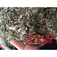 中药材 竹叶 广西草药淡竹叶 产地直供 大宗批发 凉茶
