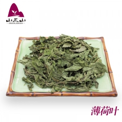 薄荷叶 新鲜薄荷茶干薄荷叶 四季清凉茶 夏季消暑茶 花草茶