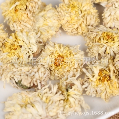 亳菊花茶花草茶 清热下火凉茶 清肺润喉茶