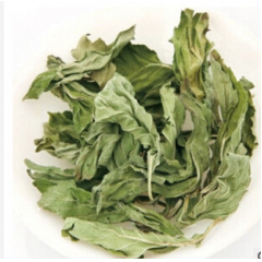 特级薄荷叶新鲜干薄荷叶/薄荷茶  夏季必备凉茶
