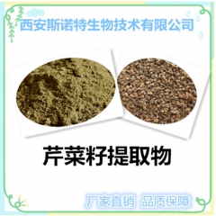 芹菜籽提取物 芹菜籽粉 现货包邮