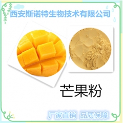 芒果粉 芒果果汁粉 包邮 免费试样