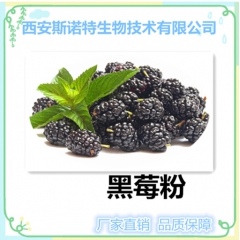 黑莓果汁粉 天然萃取黑莓提取物 包邮