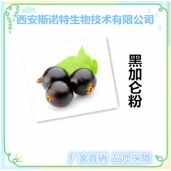 黑加仑果汁粉 黑加仑提取原粉 品质保证