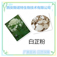 白芷提取物 白芷粉 厂家现货 品质保证