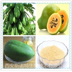 青木瓜粉 青木瓜提取物 厂家直销 斯诺特