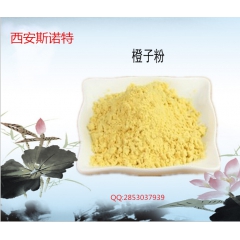 甜橙粉 橙子粉 高浓缩速溶 厂家直销 欢