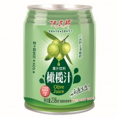 云南特产佤连邦橄榄汁芒果汁批发招商 238ml*12 特加益...
