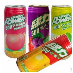 台湾进口 绿力果蔬汁 水果饮料490ml  整箱24瓶