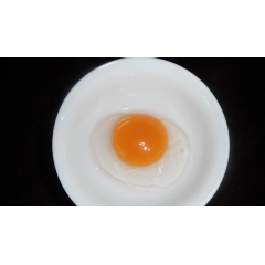 【杭州千岛湖宝晶土鸭蛋】鲜鸭蛋  本鸭蛋（4枚）