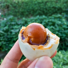 鸭蛋食品广西特产红树林海鸭蛋 咸鸭蛋抗震泡沫托简装20枚