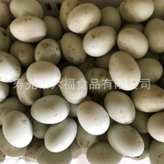 优质新鲜散养土鸭蛋供应 纯天然有机生鸭蛋批发 价格实惠
