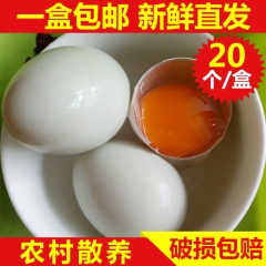 供应新鲜鸭蛋 生鸭蛋 纯天然新鲜鸭蛋 有机养殖鸭蛋 散养土鸭...