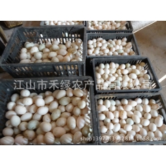 江山市禾绿农产品有限公司供优质鸭蛋
