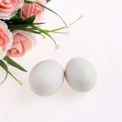 新鲜散养鸭蛋鲜鸭蛋 青皮鸭蛋  生鸭蛋 农家自养厂家直销批发