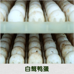热销批发 福建连城白(鹜)鸭鸭蛋 包邮 生鲜食用鸭蛋 一件代...