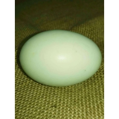 湖珍鲜鸭蛋  微山湖农家咸鸭蛋70g散装咸鸭蛋20枚包邮