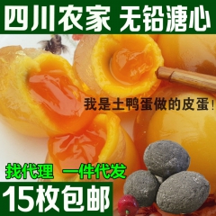 四川正宗农家土鸭蛋 变蛋 皮蛋溏心  一件代发 15枚装包邮