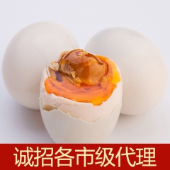 广西北部湾红树林烤海鸭蛋咸鸭蛋 疯狂小海鸭25枚装代理批发