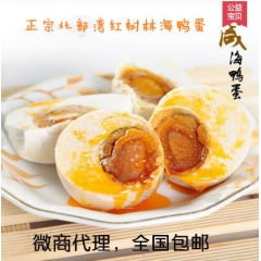 广西北部湾特产红树林海鸭蛋 咸鸭蛋20枚礼盒装 微商代理全国...